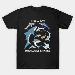 Just a boy who loves sharks T-Shirt